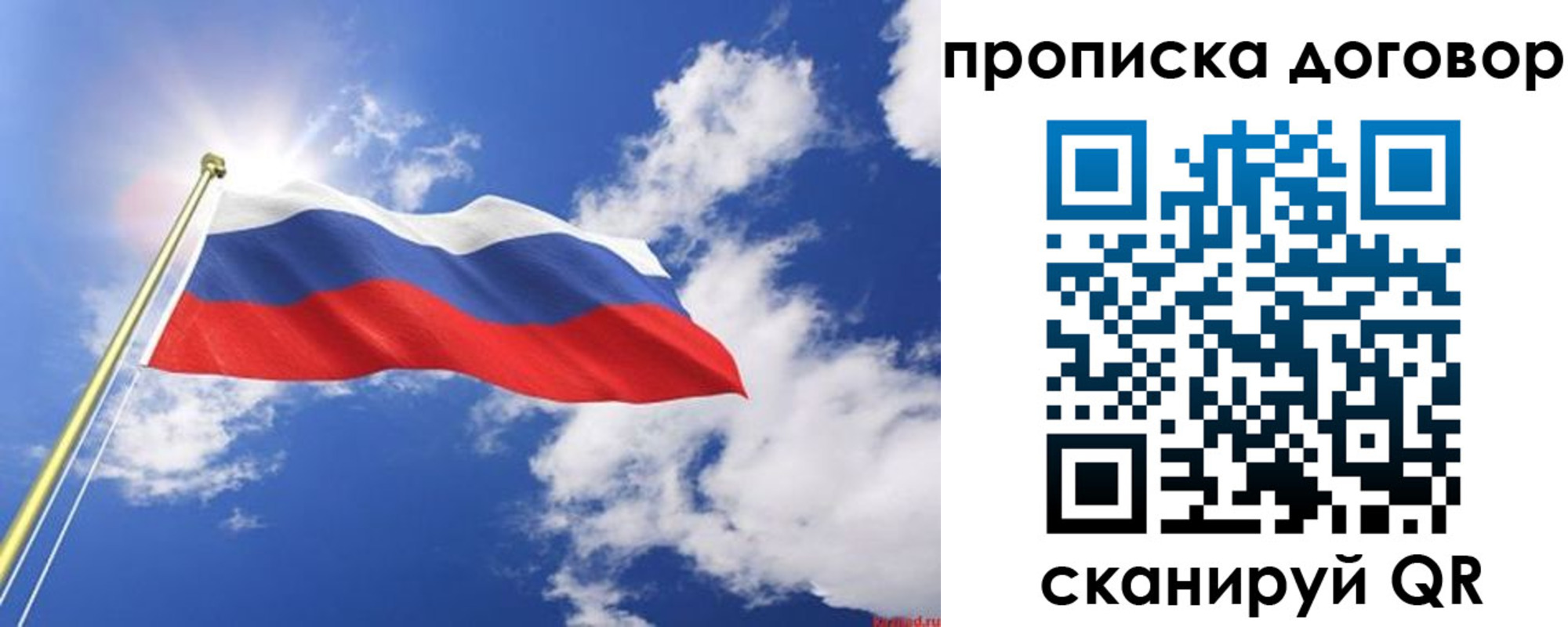 прописка гарантия в Вологде